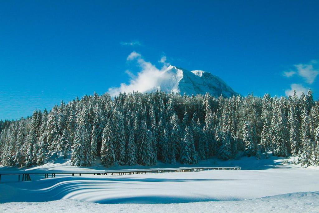 Hotel Hochland 3*